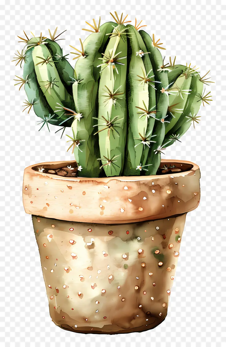 Cactus，Pintura A La Acuarela PNG