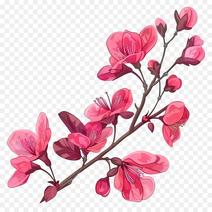 Chino Redbud，De Los Cerezos En Flor PNG