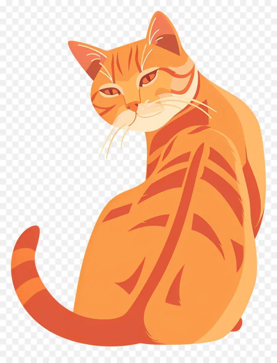 Ginger Cat，Gato De Color Naranja PNG