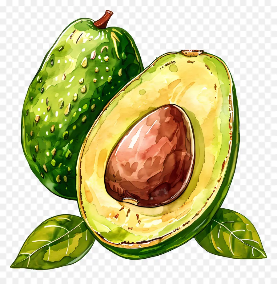 Avocado Fruit，Aguacate PNG