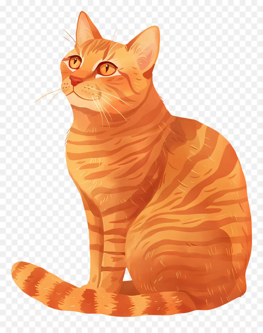 Gato Pelirrojo，Gato Naranja De Dibujos Animados PNG