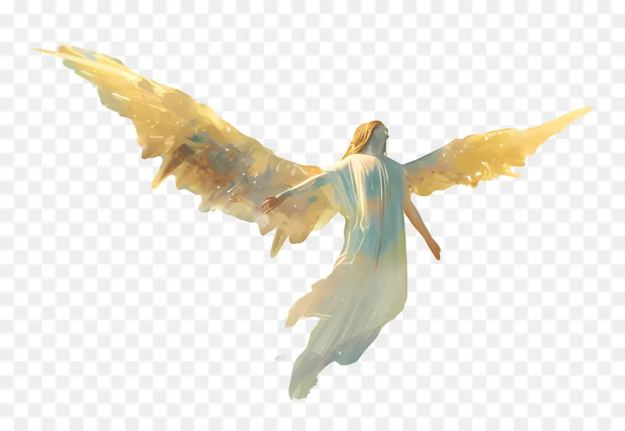 El Salto Del Ángel，Ángel PNG