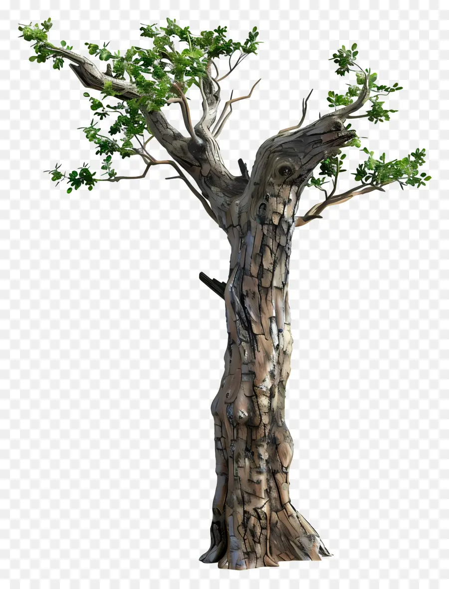 Tronco De árbol，Árbol PNG