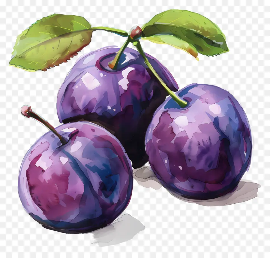 Ciruelas，La Fruta PNG