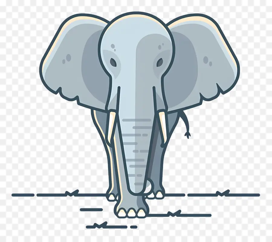 Lindo Elefante，Elefante PNG