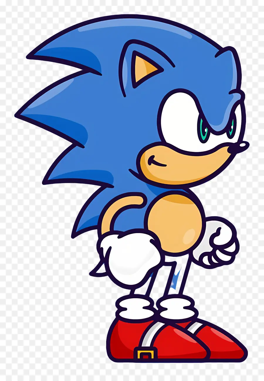 Erizo Sonic，Sonic The Hedgehog PNG