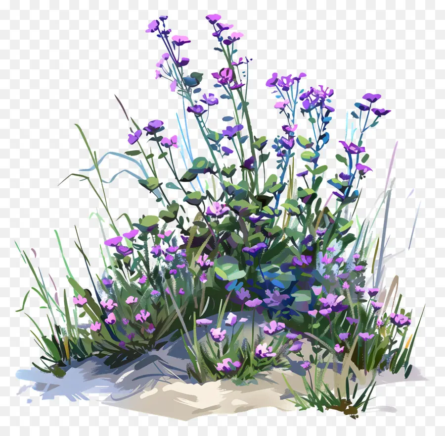 Para Cubrir El Suelo，Flores De Color Púrpura PNG