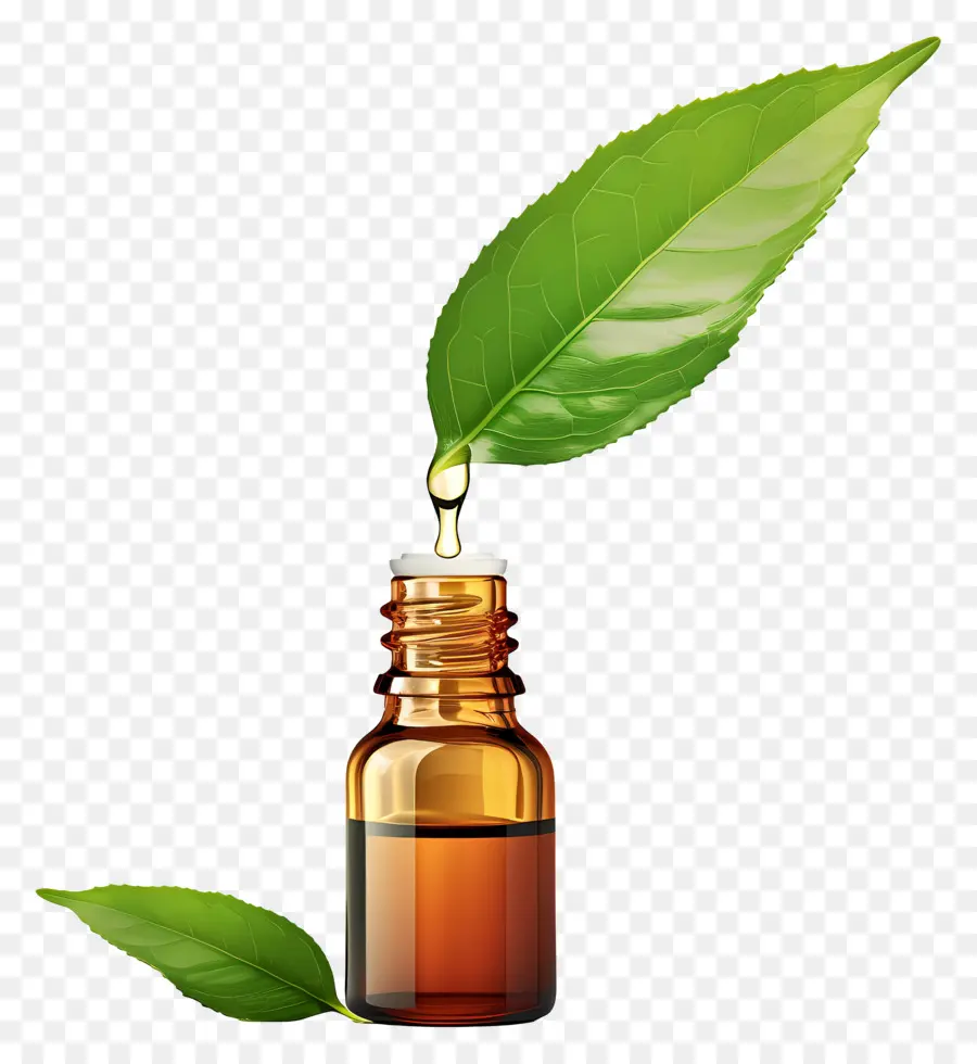 Aceite Esencial，Hoja PNG