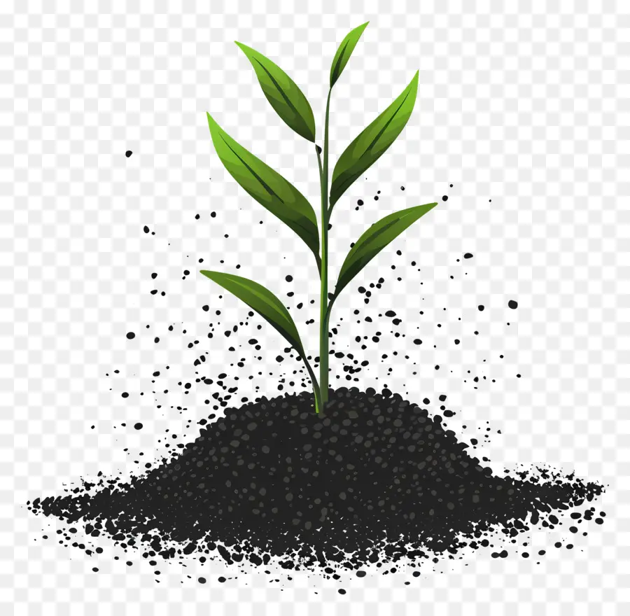 Fertilizante，El Crecimiento De La Planta PNG