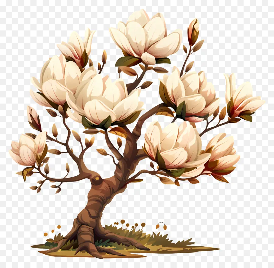 árbol De Magnolia，Bosque PNG