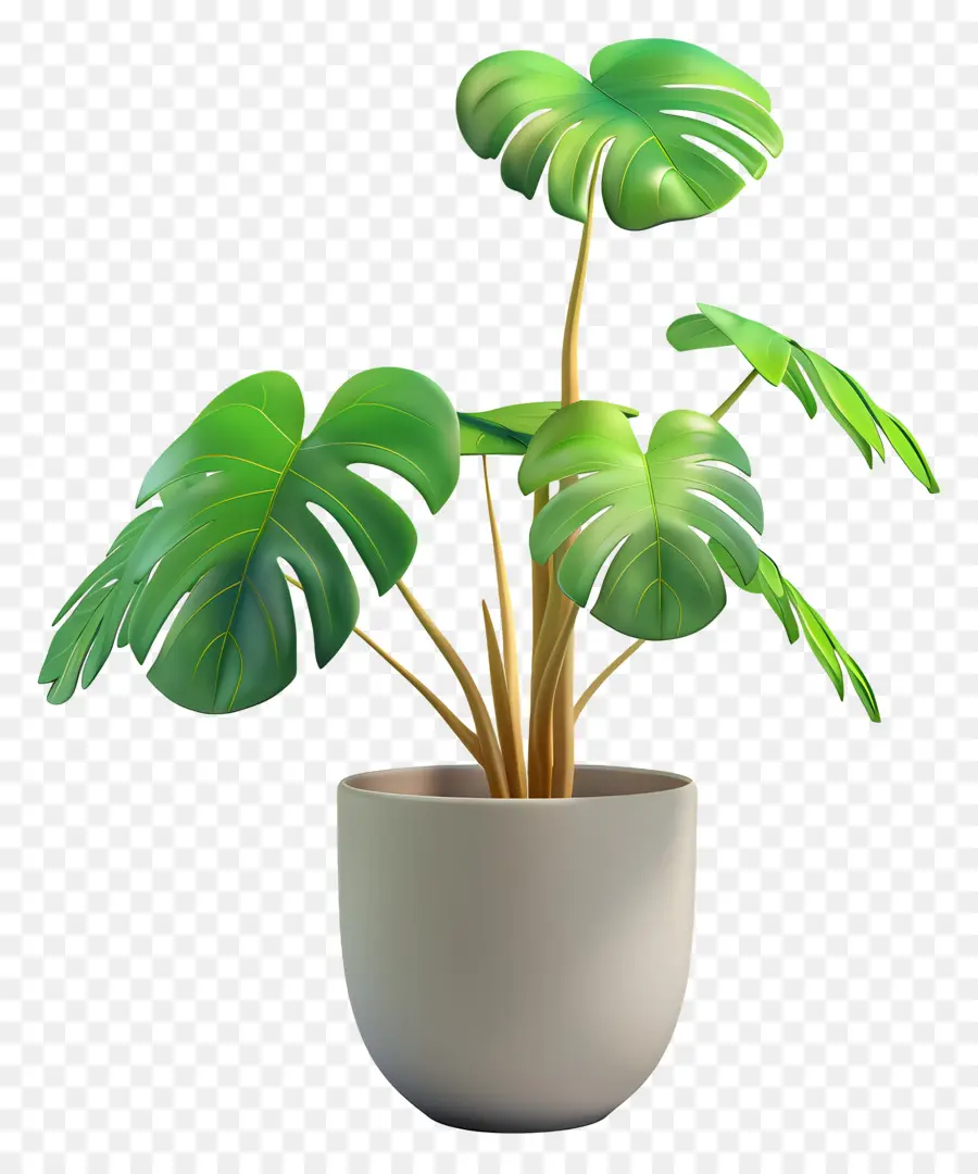 Monstera，Planta De Aire PNG