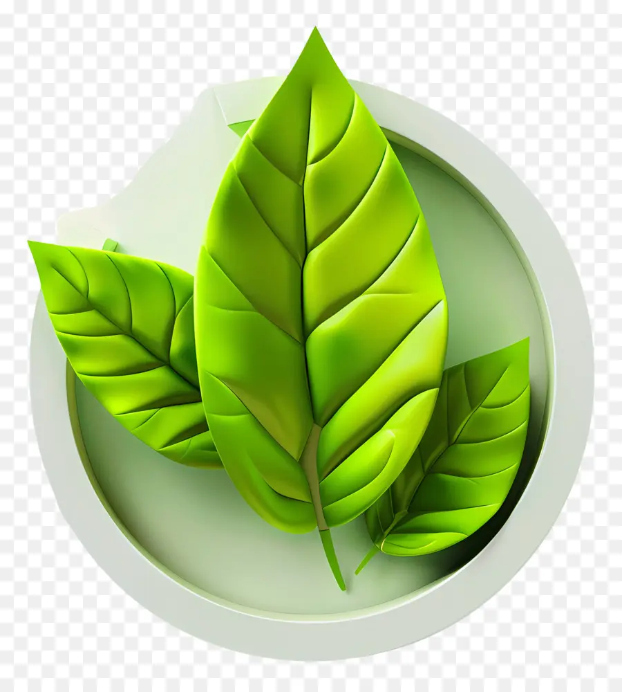 Hoja Verde，Hojas Verdes PNG