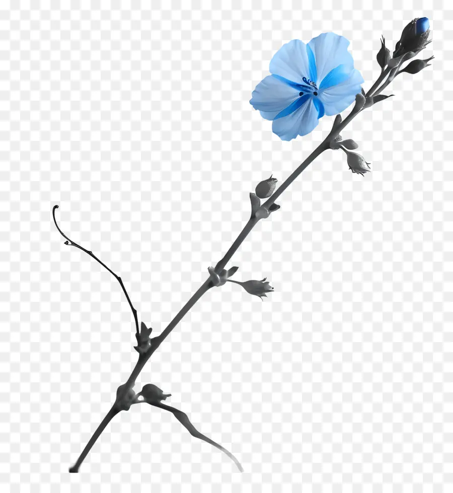 Flor Azul，Color Vibrante PNG