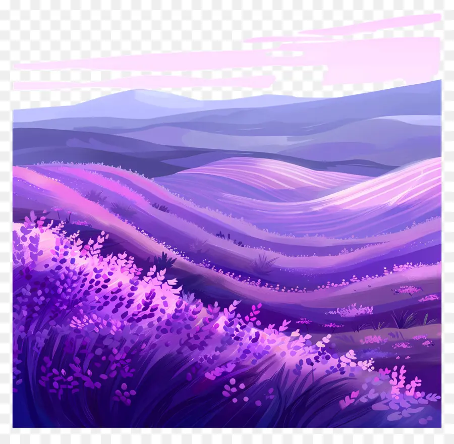 Fondo De Campo De Lavanda，Paisaje Púrpura PNG