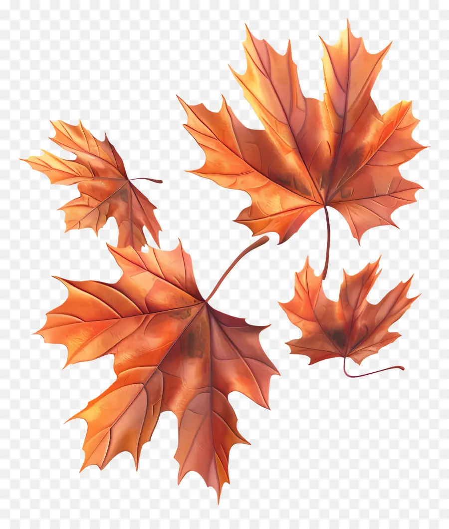 Hojas De Otoño，Caer PNG