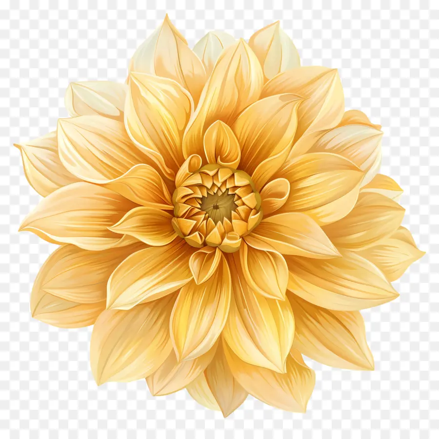 Flor Amarilla Dahlia，Dahlia Dorada PNG