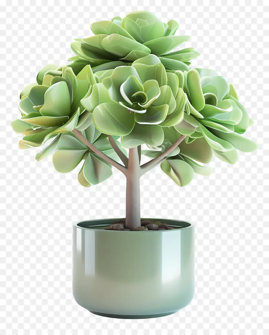 Flor De Jade En Maceta，Planta En Maceta PNG