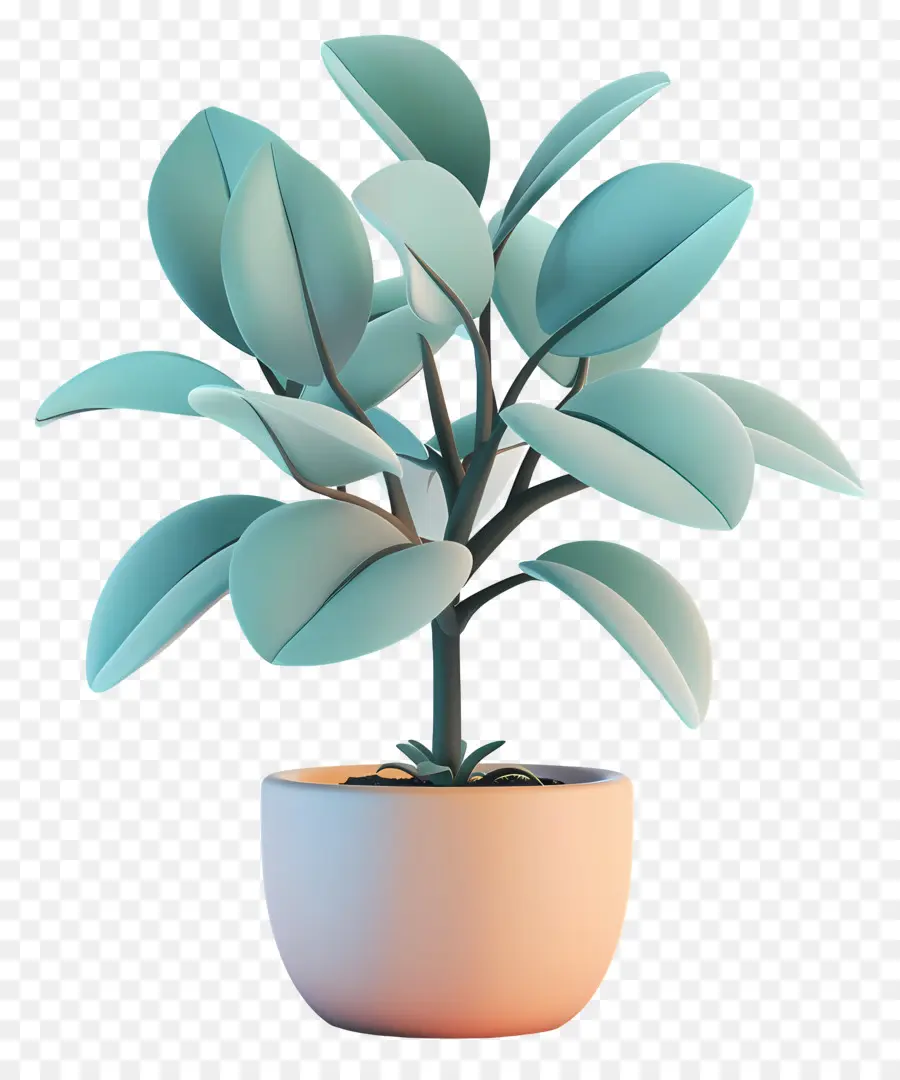 El árbol De Caucho，Planta En Maceta PNG