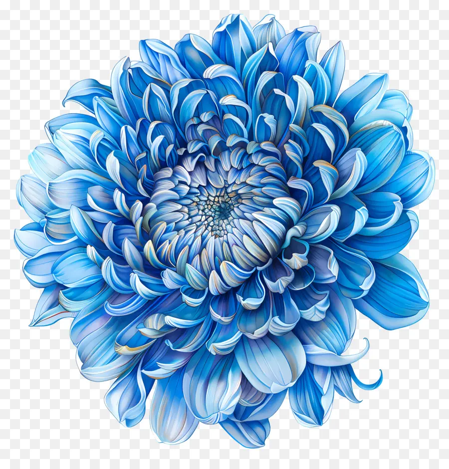 Crisantemo Azul，Arreglo De Flores PNG