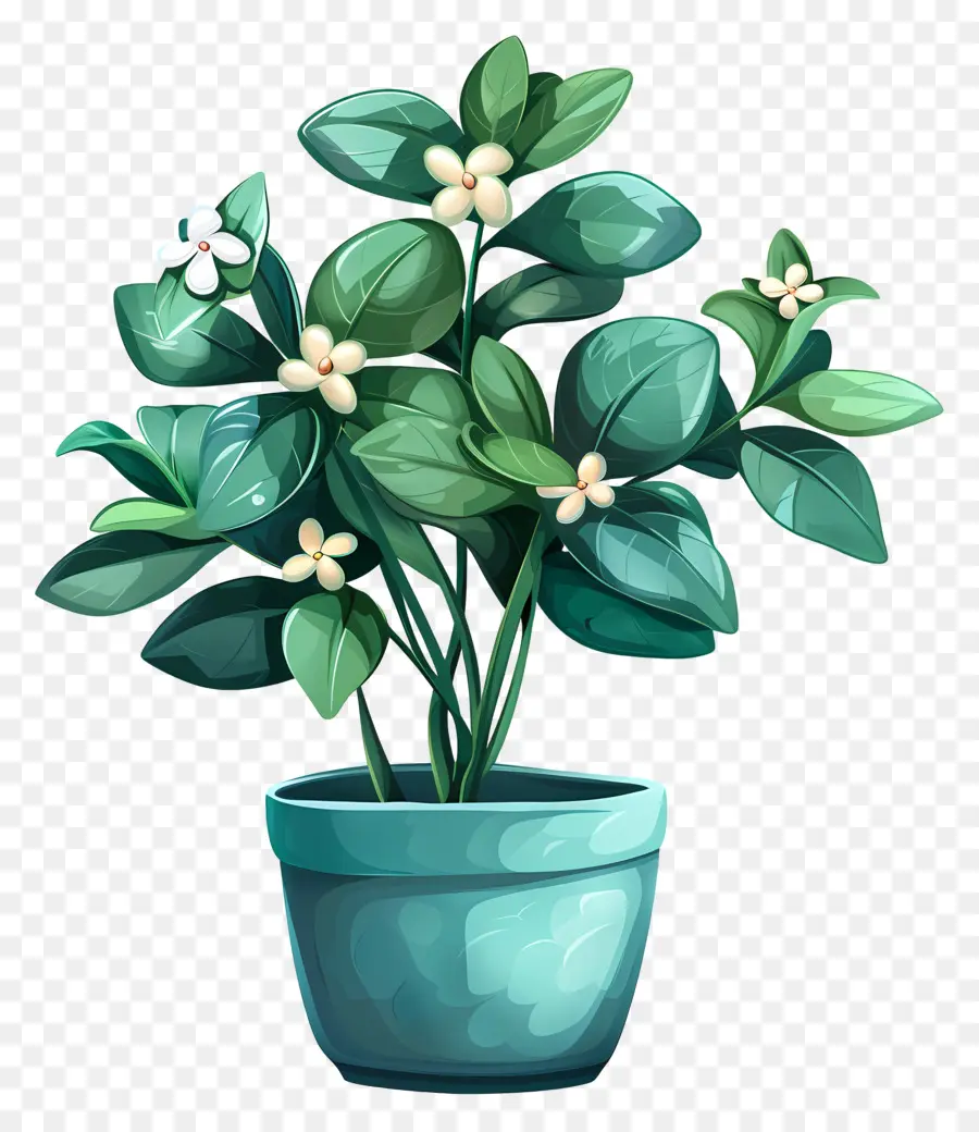 Flor De Jade En Maceta，Flores Blancas PNG