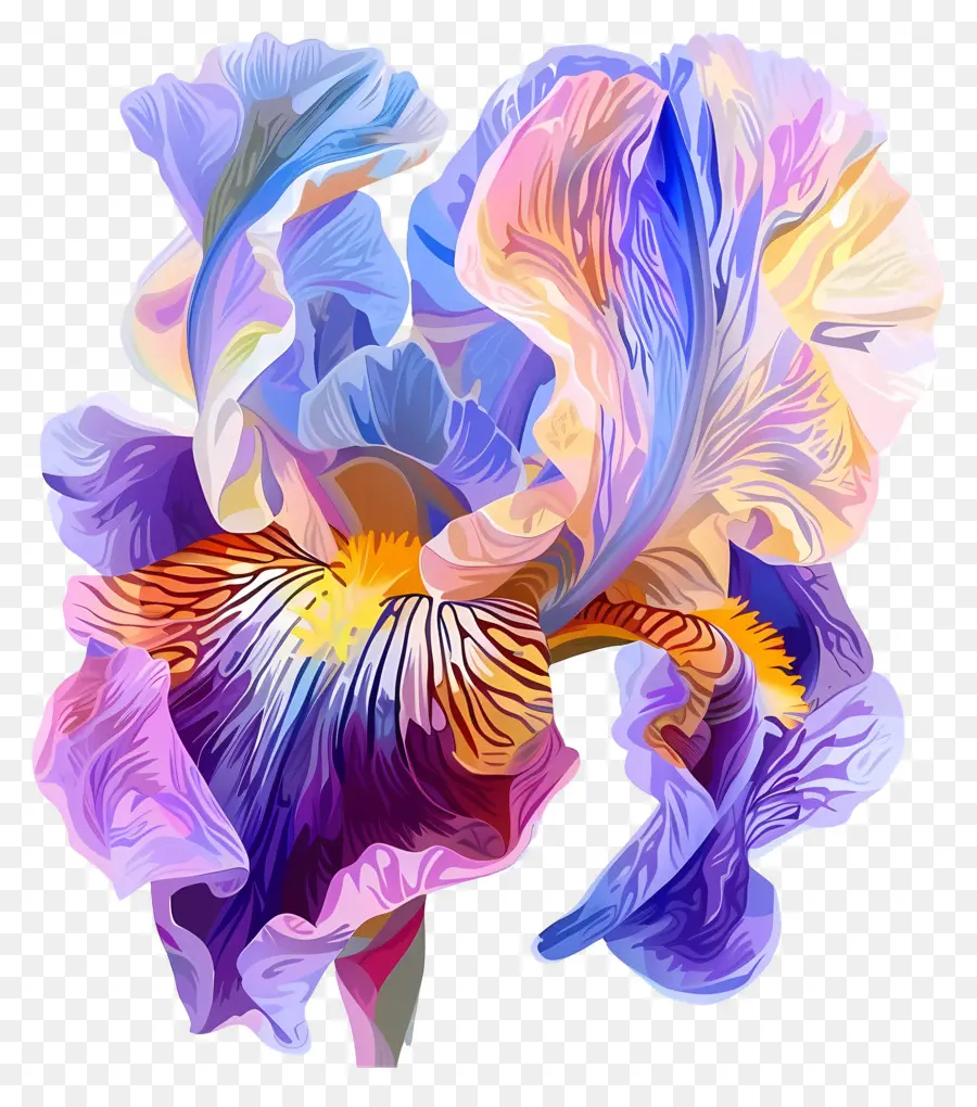 Flor De Iris，Iris Azul PNG