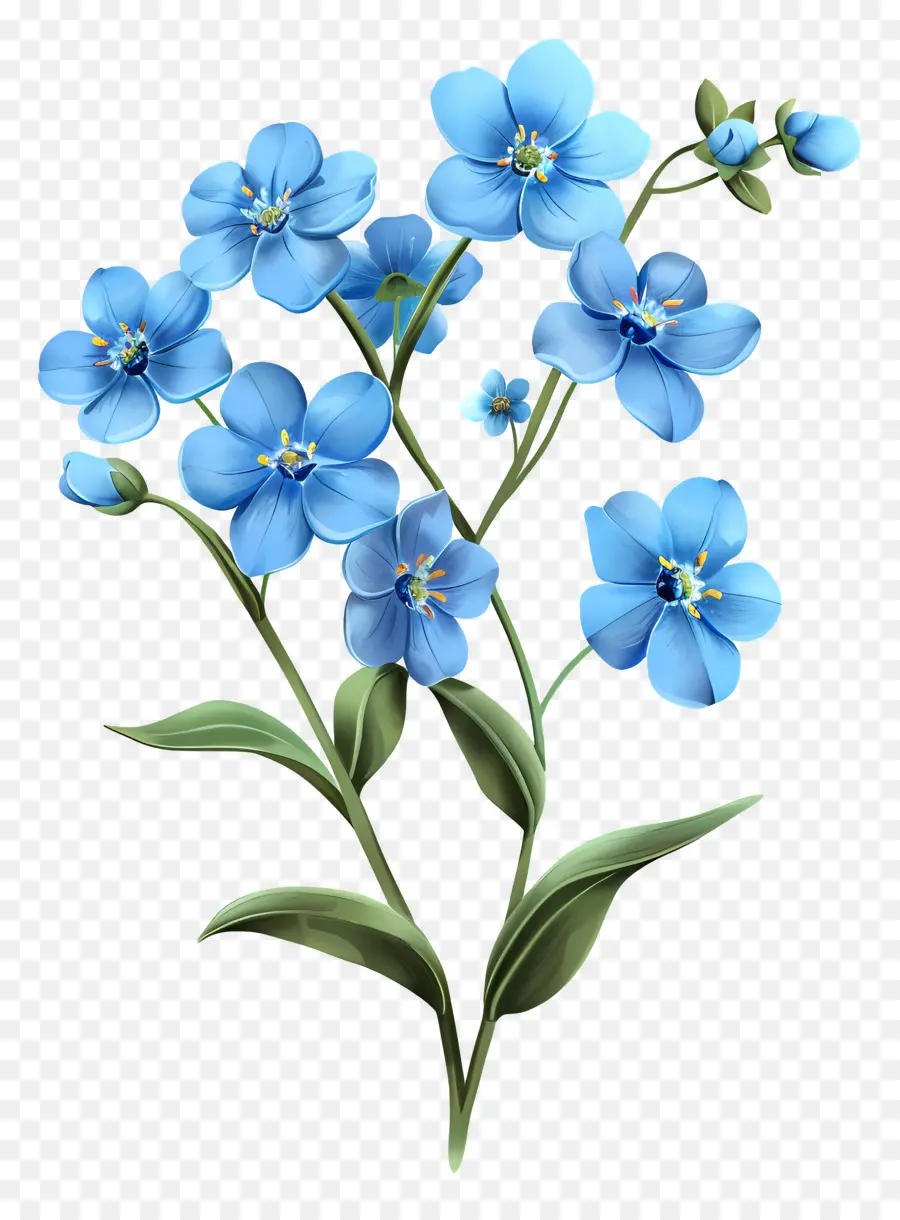 No Me Olvides Flor，Flores De Color Azul PNG