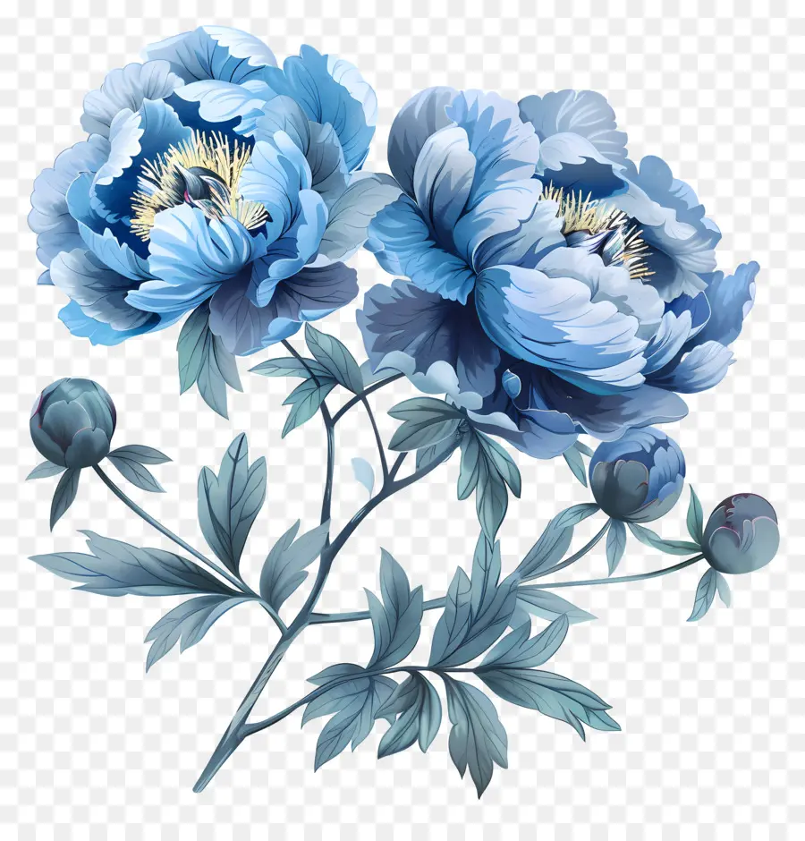 Peonies Blue，Azul Peonía PNG