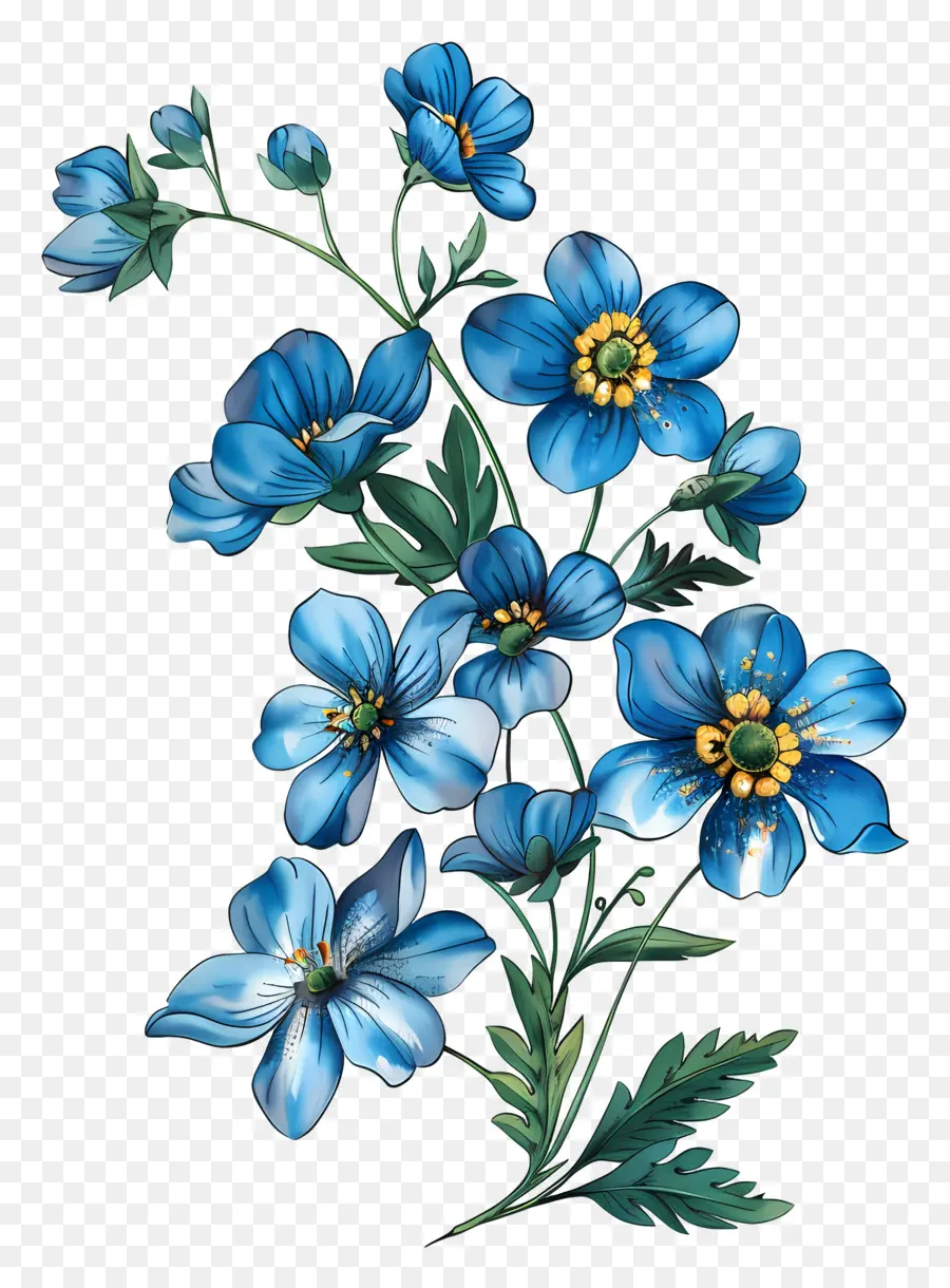 No Me Olvides Flor，Flores Azules PNG