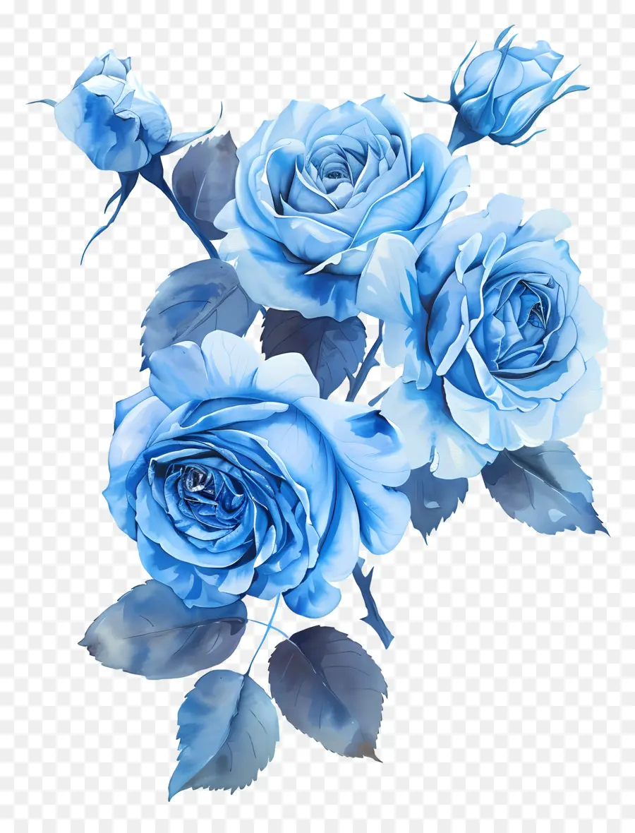 Rosas Azules，Rosa Azul PNG