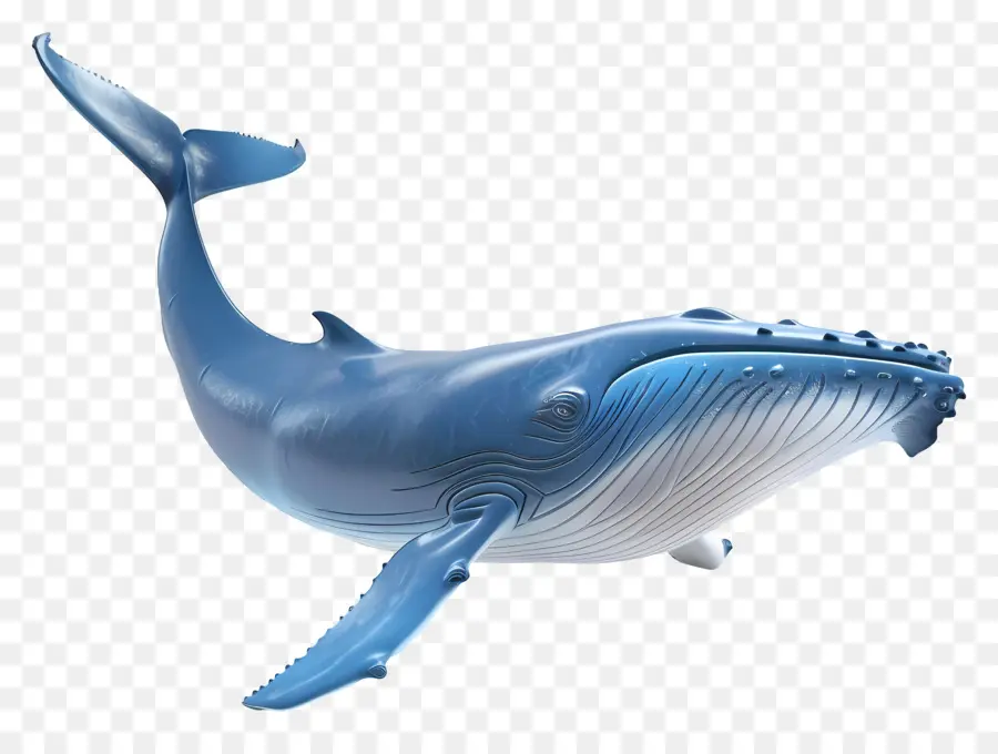 Ballena Azul，Océano PNG