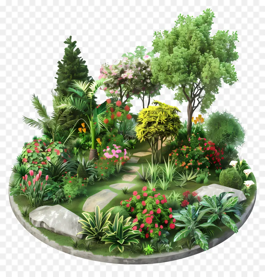 Jardín Botánico，Jardín PNG