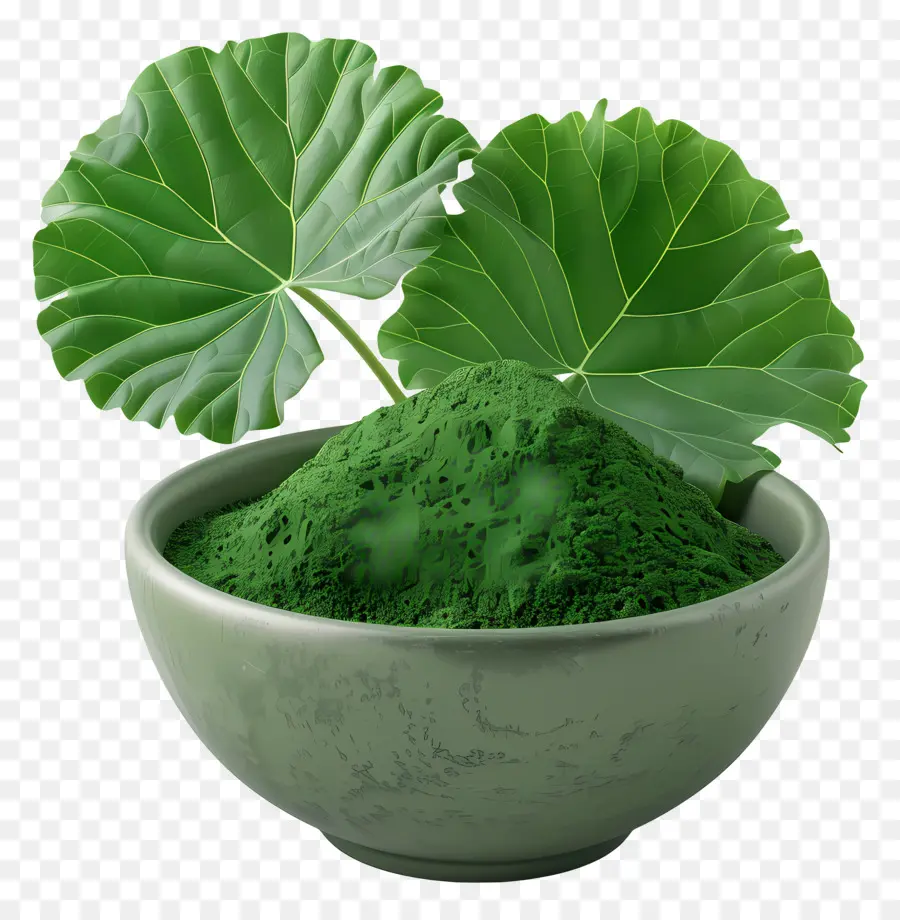 Gotu Kola En Polvo，Polvo Verde PNG