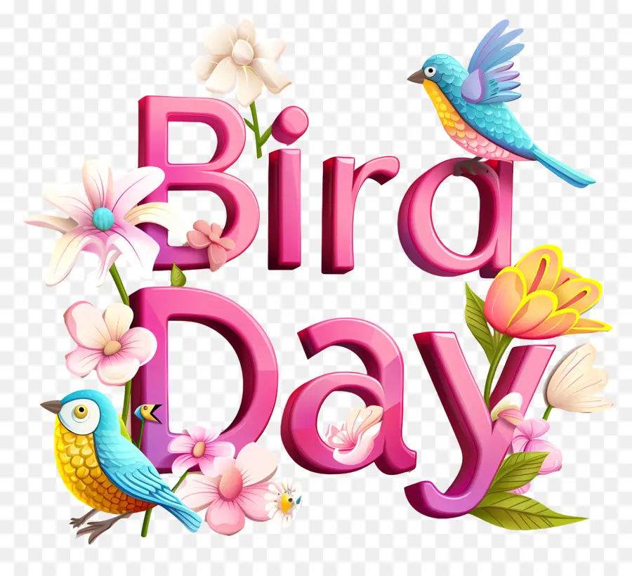 Día De Las Aves，Cumpleaños PNG