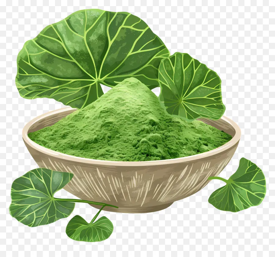 Gotu Kola En Polvo，Polvo Verde PNG