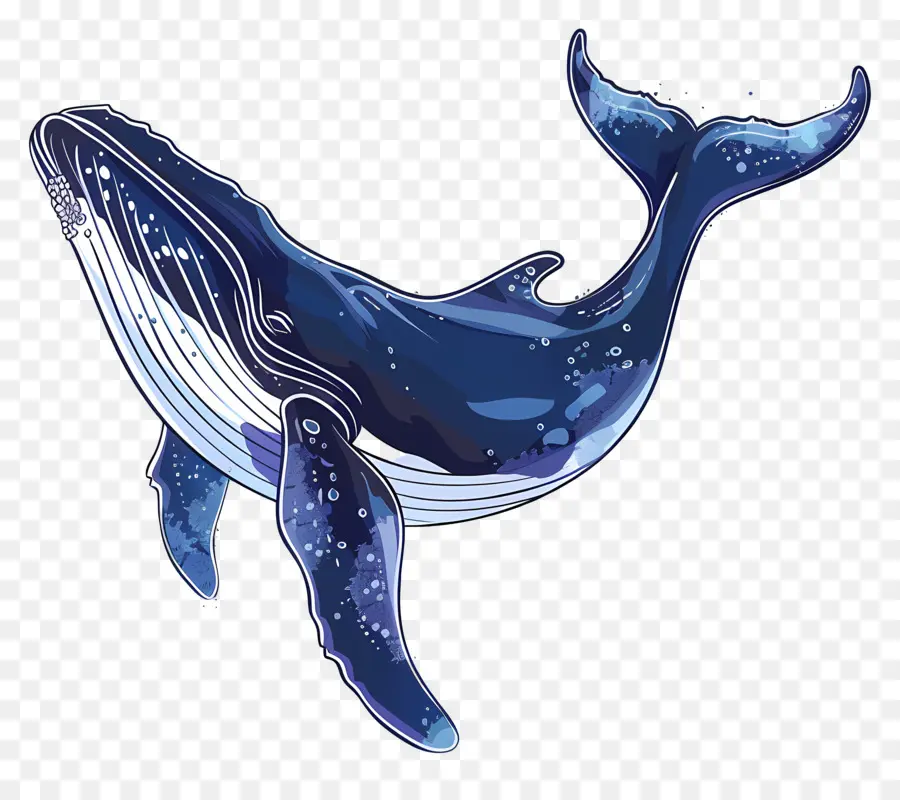 Ballena，La Ballena Azul PNG