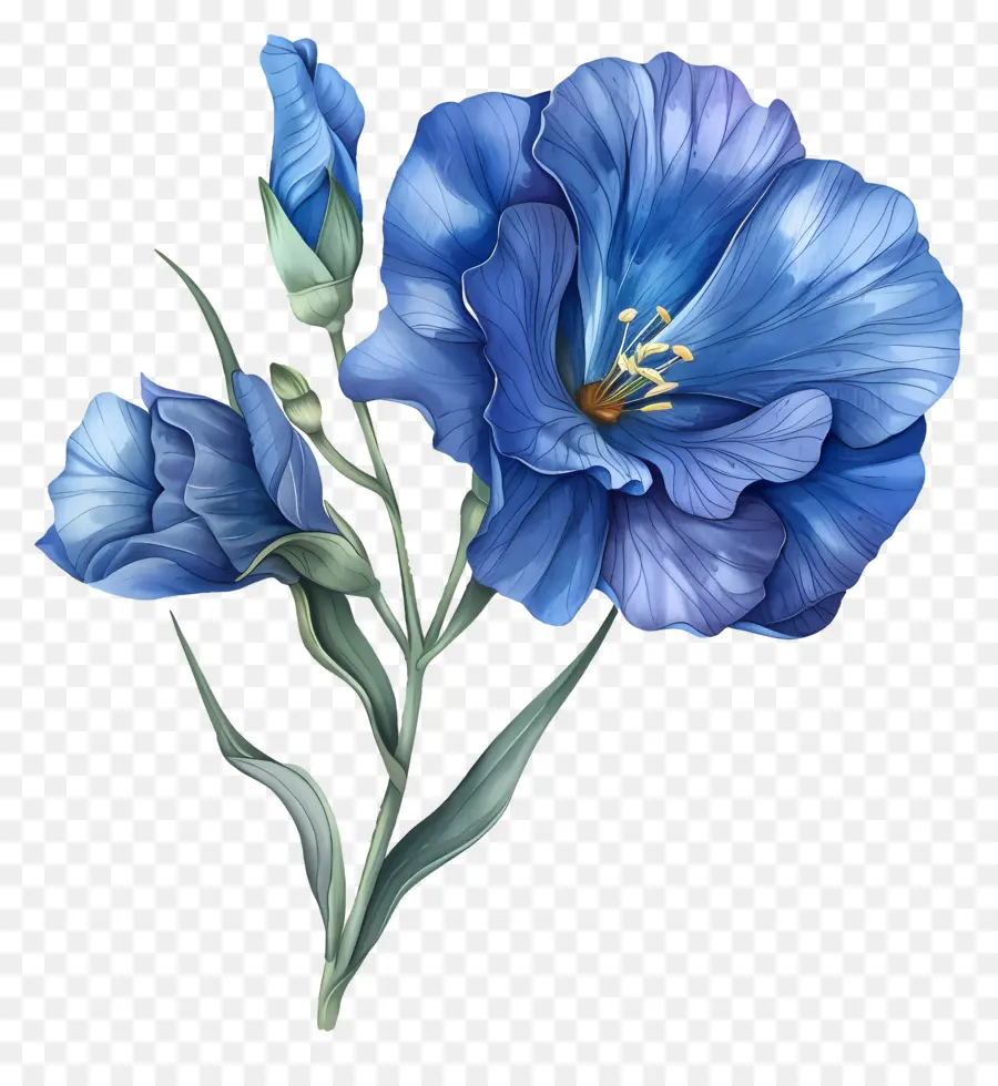 Flor De Lisianthus Azul，Flores Azules PNG