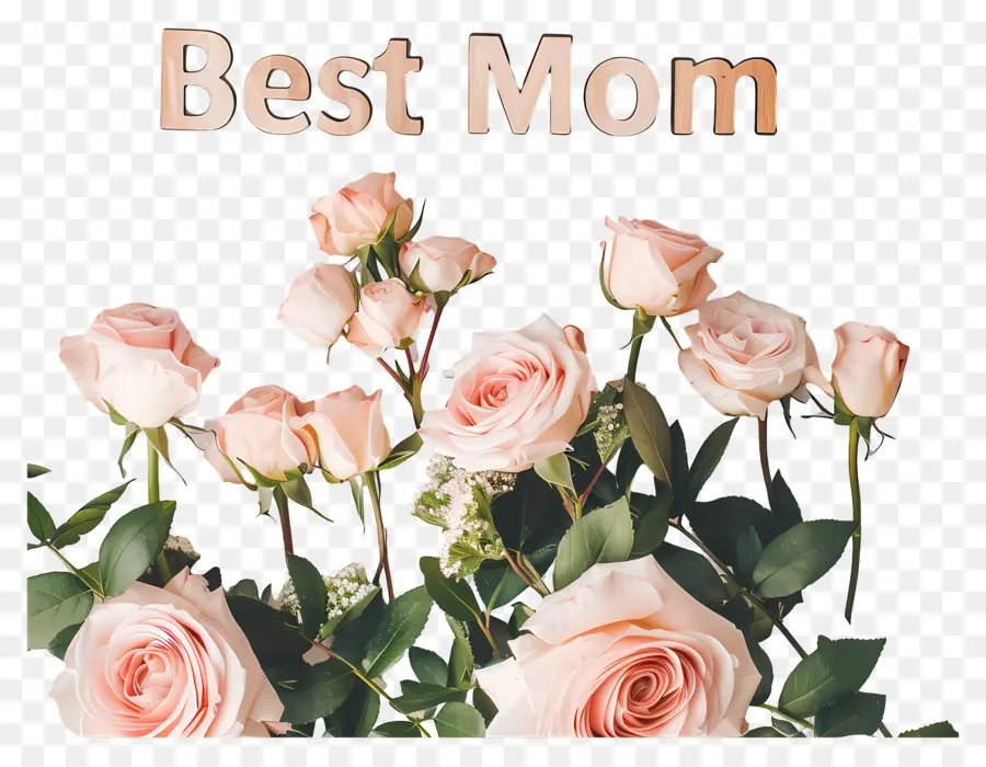 Mejor Mamá，El Día De Las Madres PNG