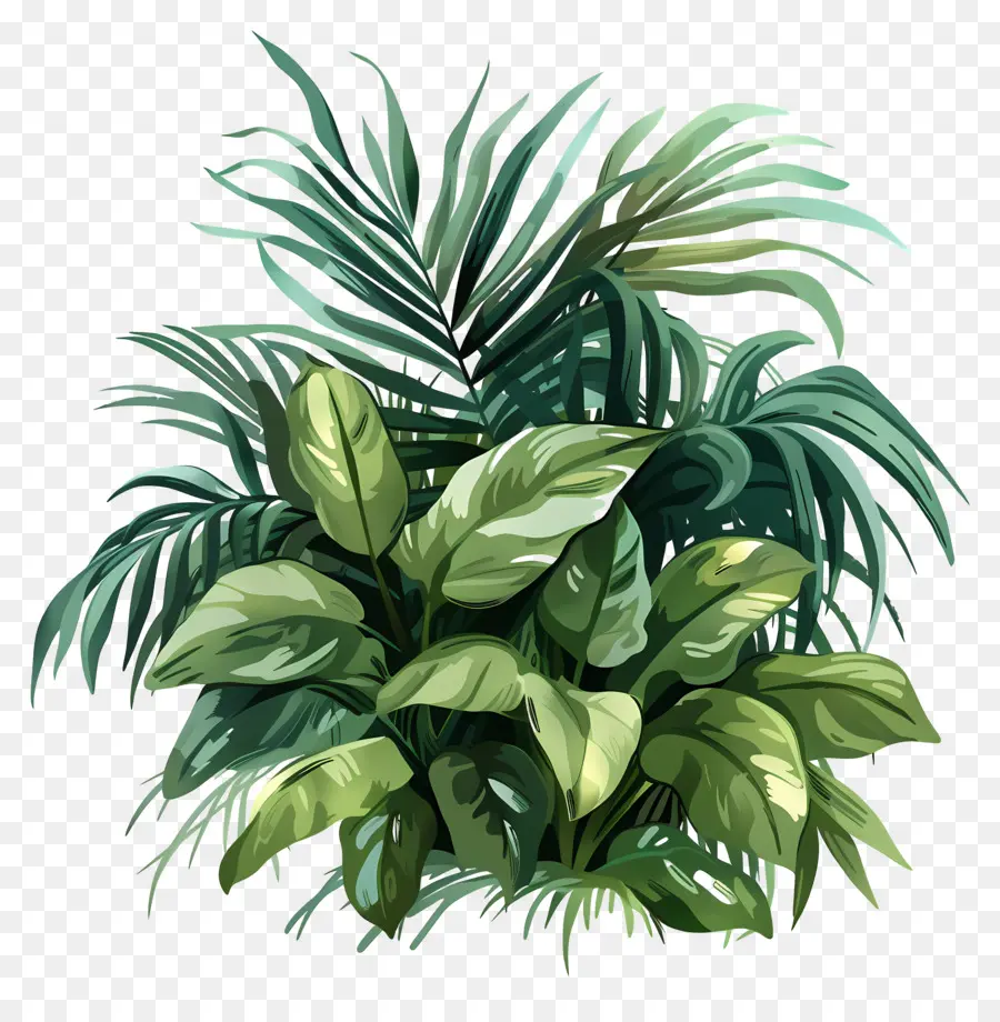 Exuberante Verde，Planta Verde PNG