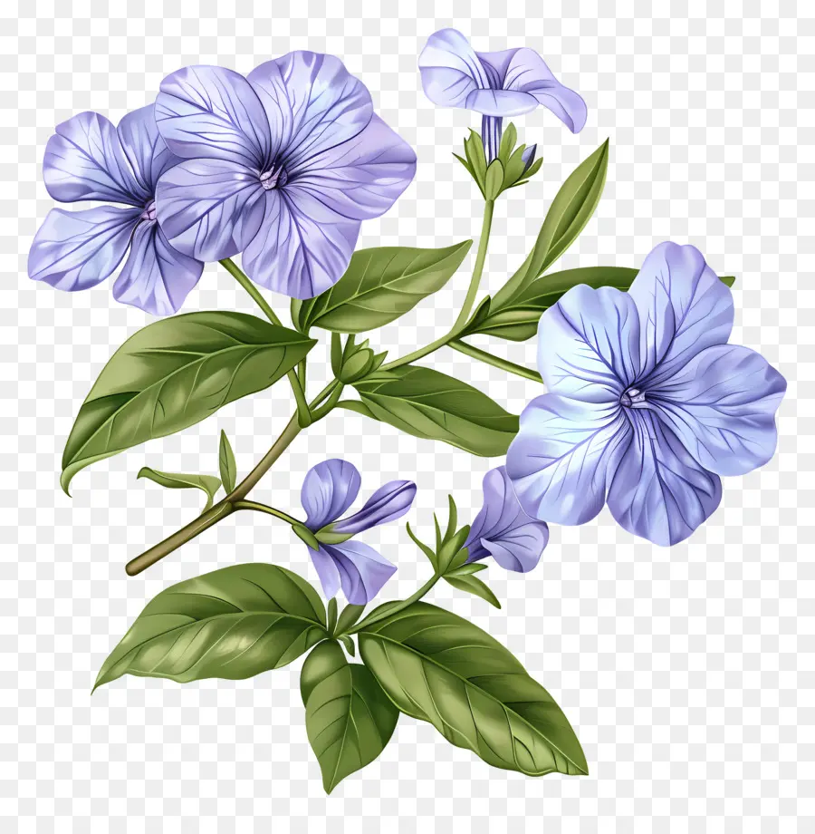 Flores De Perijaras，Flor Azul PNG
