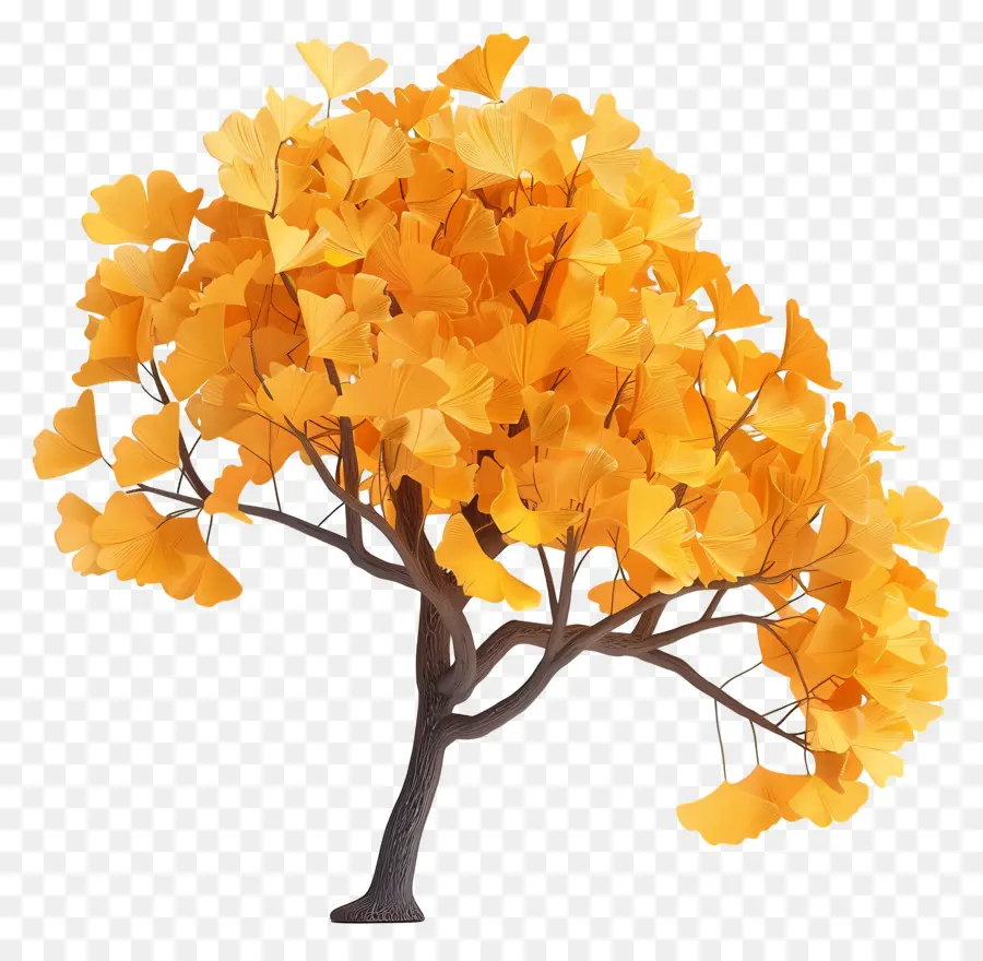 Árbol Ginkgo Chino，Árbol PNG