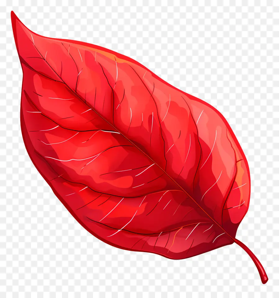 Hoja Roja，Otoño PNG