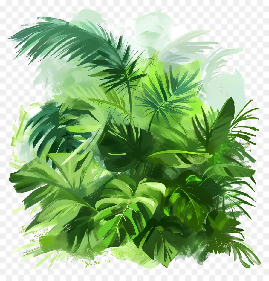 Verde Exuberante，Plantas Verdes PNG