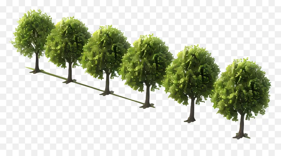 Los árboles，Verde PNG