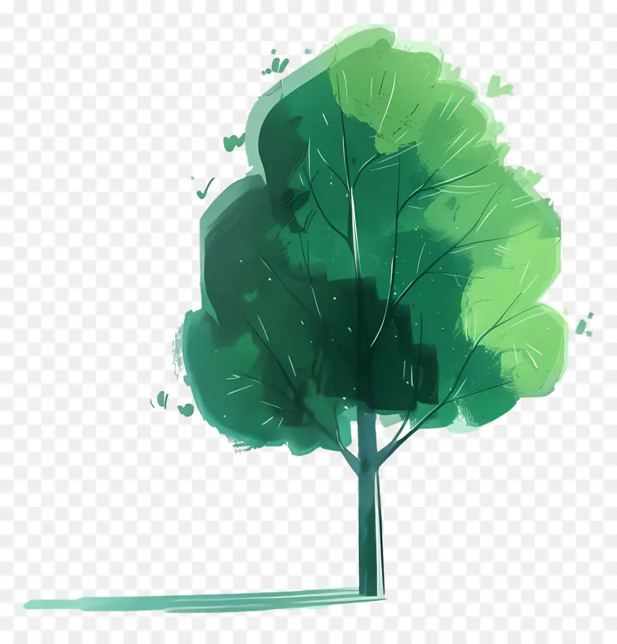 árbol Verde，Árbol PNG