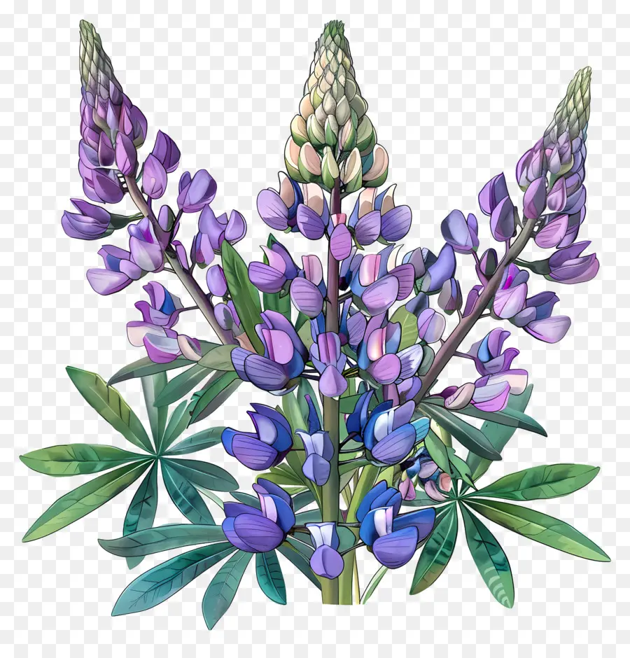 Flor De Lupino，Flores De Lupino Azules PNG