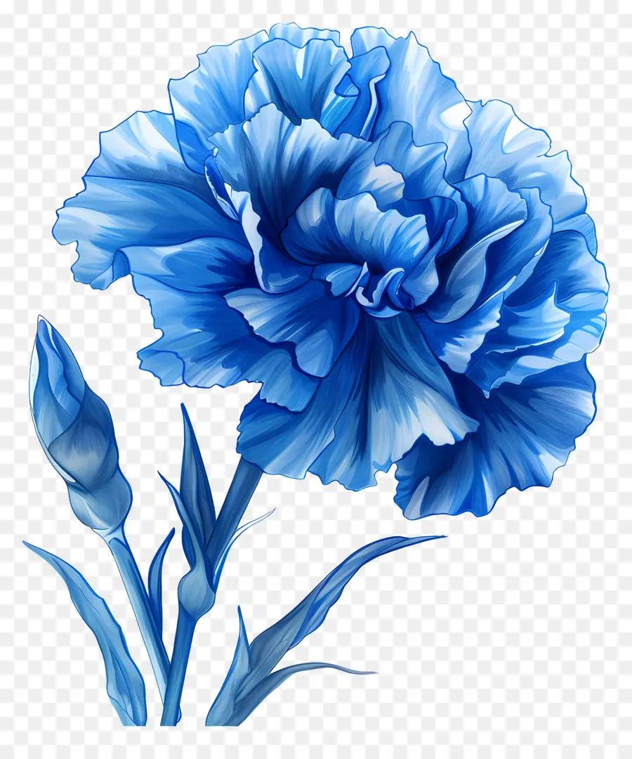 Clavel Azul，Flor Azul PNG