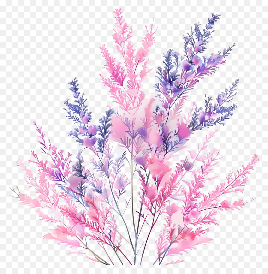 Ella Ama A Planty，Rosa Y Flores De Color Púrpura PNG