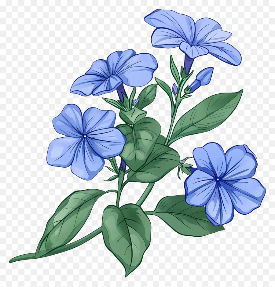 Flores De Perijaras，Flores De Color Azul PNG