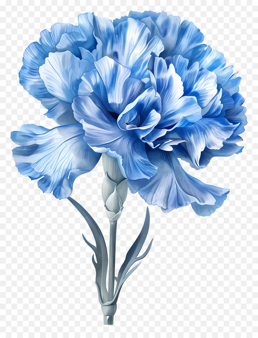 Clavel Azul，Flor Azul PNG