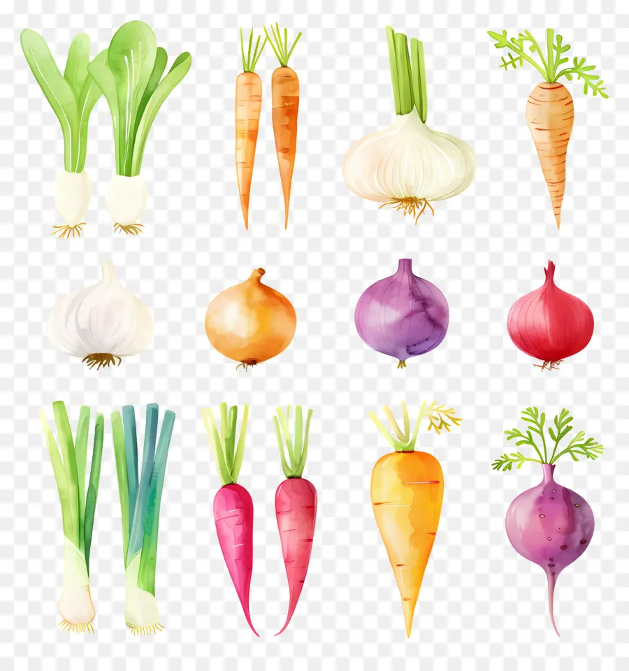 Verduras，Acuarela PNG